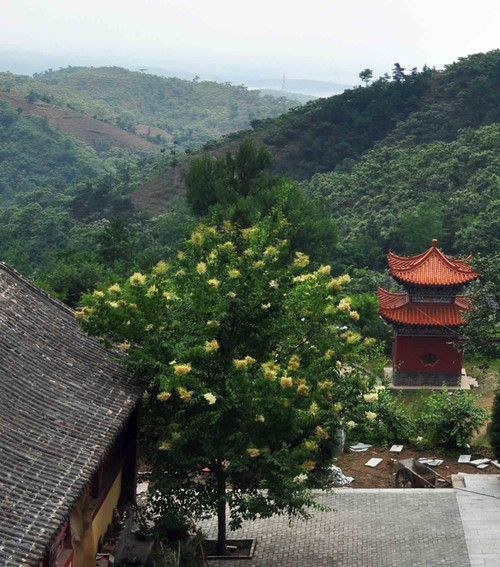 遵化禅林寺（原） - 秋日私语 - 秋日私语的博客