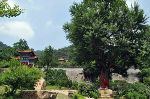 遵化禅林寺(原) - 秋日私语 - 秋日私语的博客
