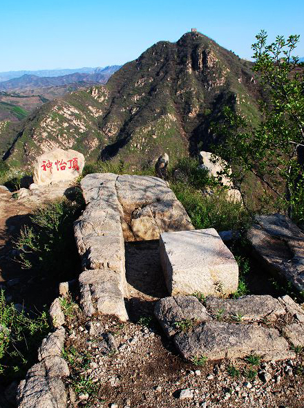 禅林寺古银杏风景园神怡顶