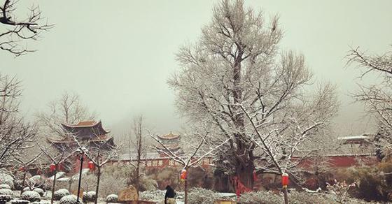 雪后禅林