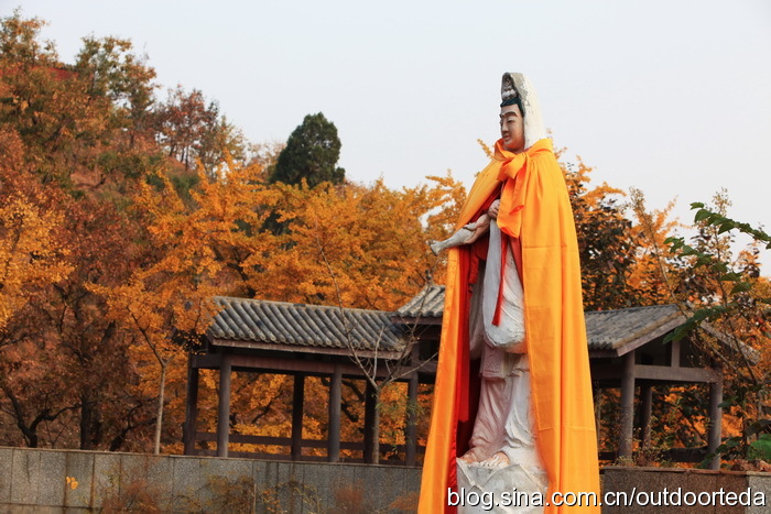 禅林寺八功德池